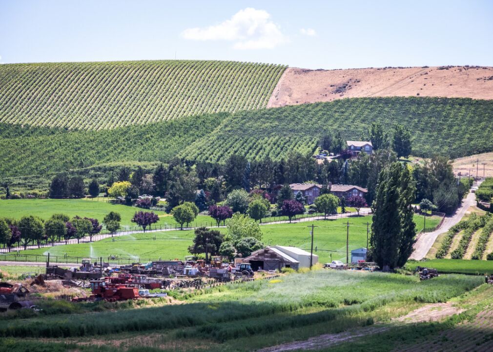 Washington: Yakima